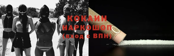 крисы Арсеньев